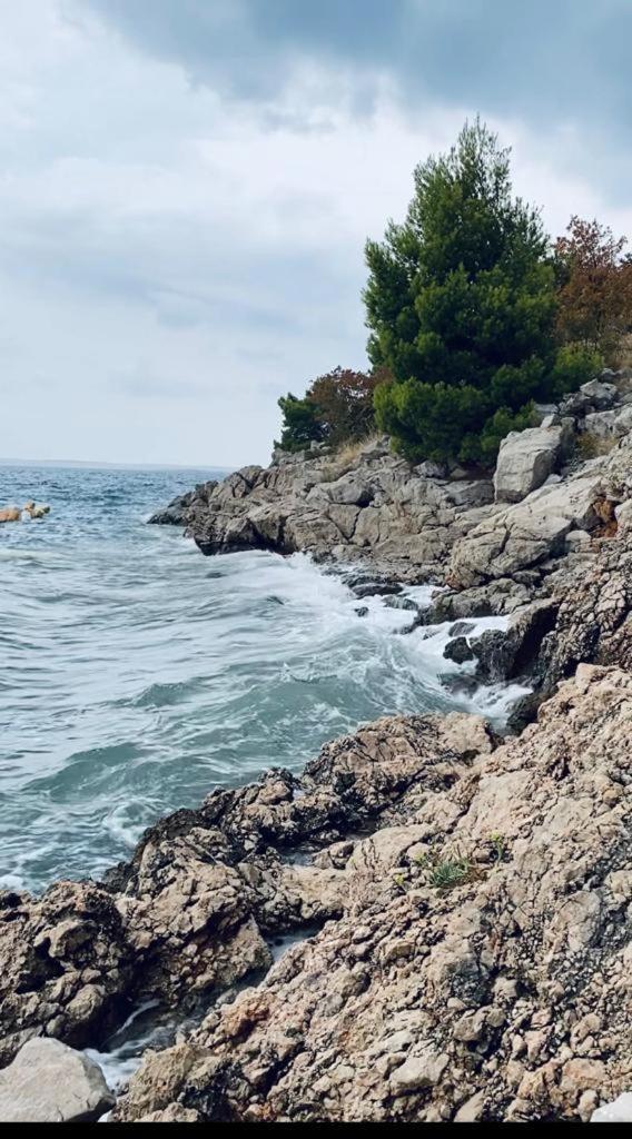 Porat Daire Starigrad Paklenica Dış mekan fotoğraf